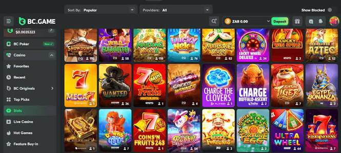 The Exciting World of BC.Game Online Casino Platform